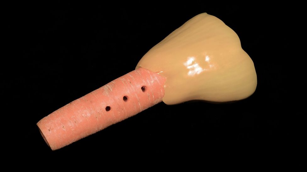 The carrot horn (Credit: Alexander Koller) The carrot horn (Credit: Alexander Koller)