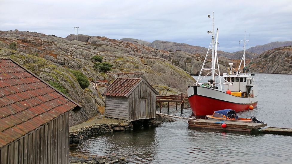 (Credit: Anisha Shah) (Credit: Anisha Shah)