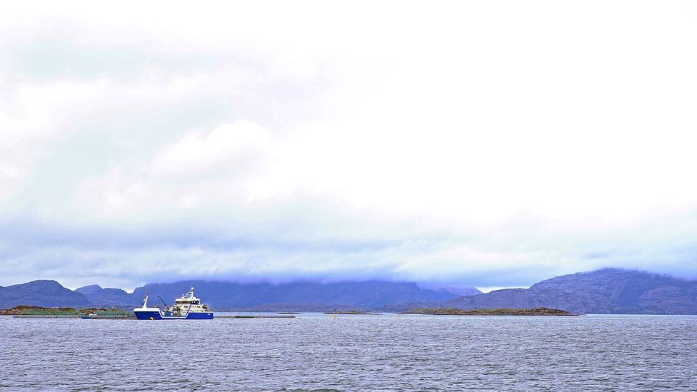 (Credit: Anisha Shah) (Credit: Anisha Shah)