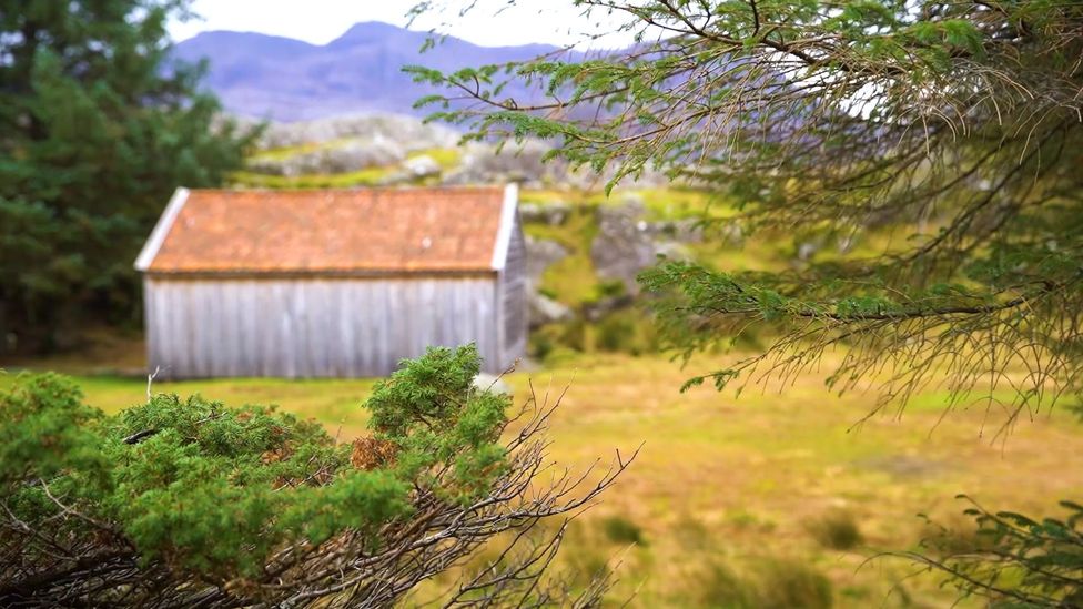 (Credit: Anisha Shah) (Credit: Anisha Shah)