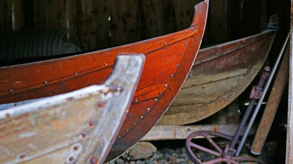 (Credit: Anisha Shah) (Credit: Anisha Shah)