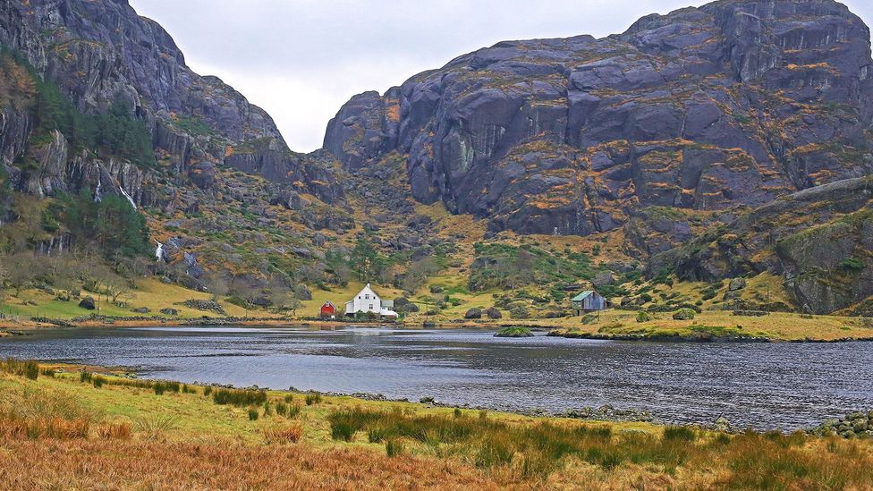 (Credit: Anisha Shah) (Credit: Anisha Shah)