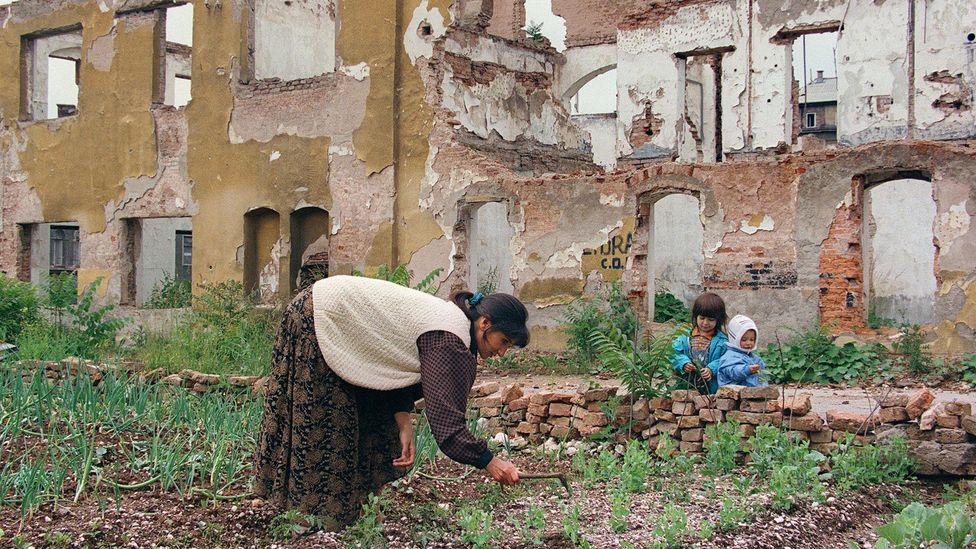 The people of Sarajevo tried to find any scrap of land they could to grow food during the 47 months they were cut off from the outside world (Credit: Getty Images)