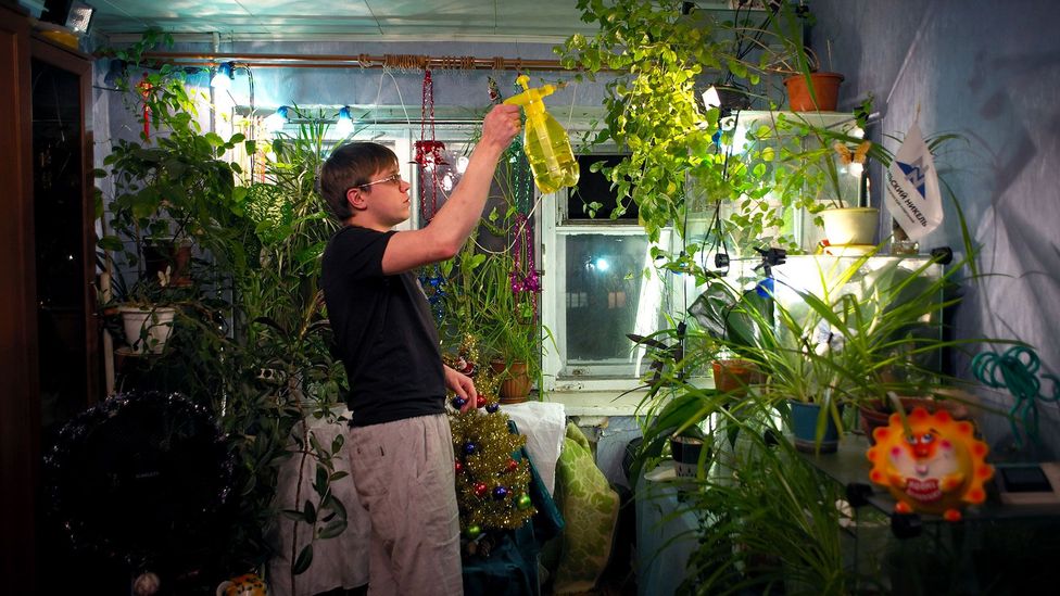 (Credit: Elena Chernyshova) (Credit: Elena Chernyshova)