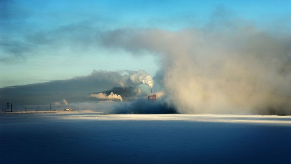 (Credit: Elena Chernyshova) (Credit: Elena Chernyshova)