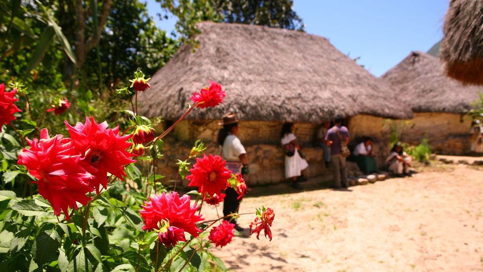 Several members of the Arhuaco community champion opening the resguardo for ethno-tourism and autonomous economic empowerment (Credit: Christopher P Baker)