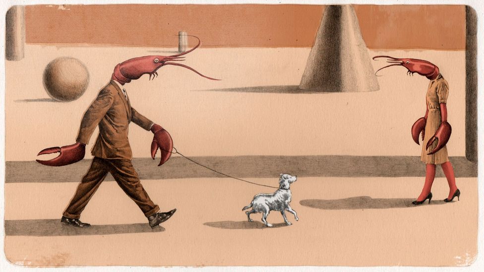 We currently have no way of knowing whether lobsters have a conscious inner life - or if their behaviour is purely reflex (Credit: Emmanuel Lafont) We currently have no way of knowing whether lobsters have a conscious inner life - or if their behaviour is purely reflex (Credit: Emmanuel Lafont)