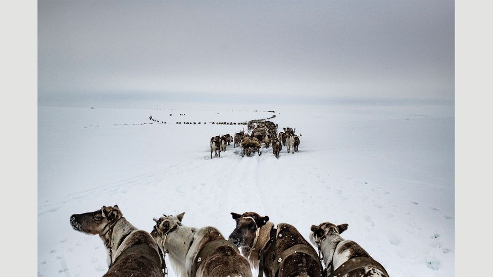 the-arctic-photos-revealing-a-new-global-frontier-bbc-culture