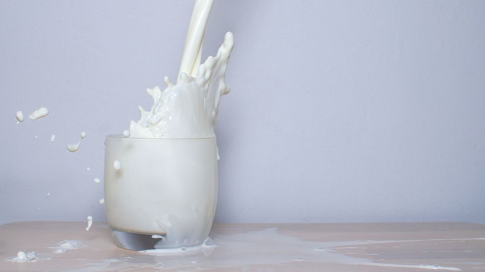 Does Drinking Milk Make Your Bones Stronger? 