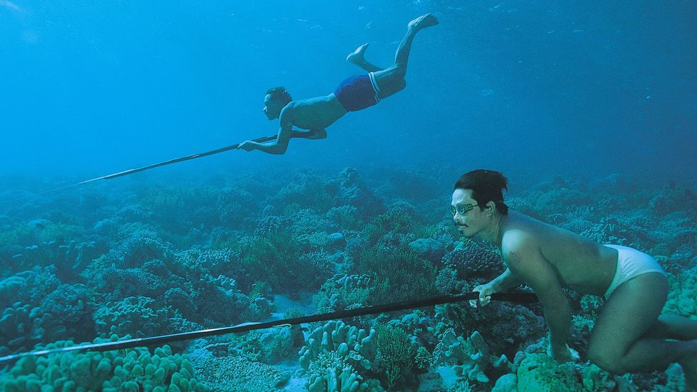 Traditional free divers of the Bajau people in Indonesia have evolved enlarged spleens to help them spend longer underwater (Credit: Alamy)