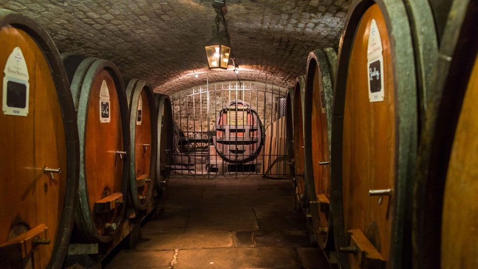 Since 1395, the Hôpital civil de Strasbourg has had a symbiotic relationship with the Cave Historique des Hospices de Strasbourg (Credit: Garden Photo World/Alamy) Since 1395, the Hôpital civil de Strasbourg has had a symbiotic relationship with the Cave Historique des Hospices de Strasbourg (Credit: Garden Photo World/Alamy)
