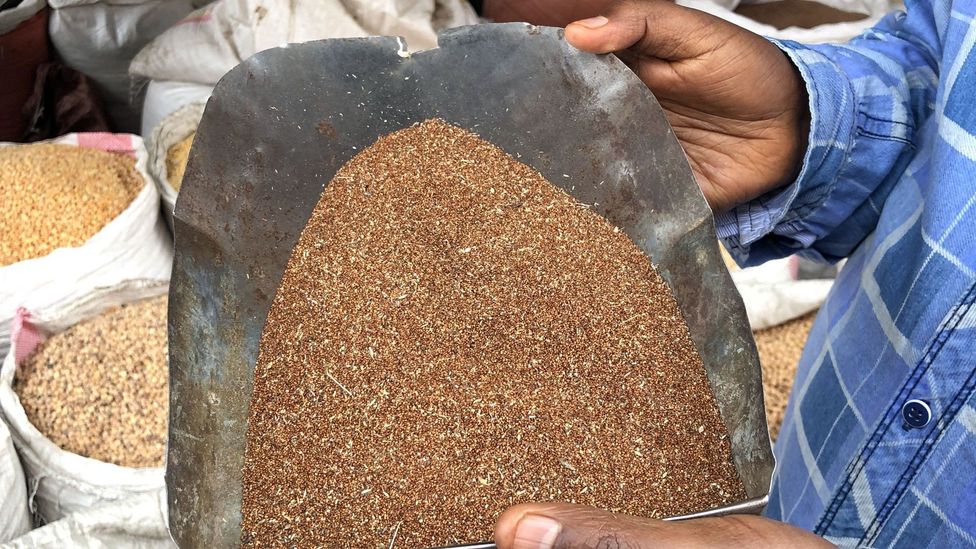 Teff is widely touted in the Western world as the next superfood (Credit: New Ethiopia Tours)