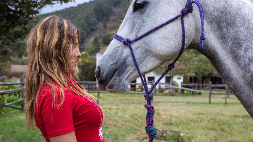 Colombia’s indomitable ‘horse whisperer’ BBC Travel