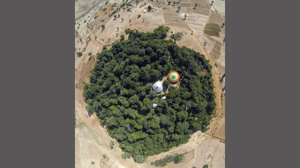Researchers used photographic records from World War Two and the Cold War to pinpoint the locations of Ethiopia’s church forests (Credit: Catherine Cardelús) Researchers used photographic records from World War Two and the Cold War to pinpoint the locations of Ethiopia’s church forests (Credit: Catherine Cardelús)