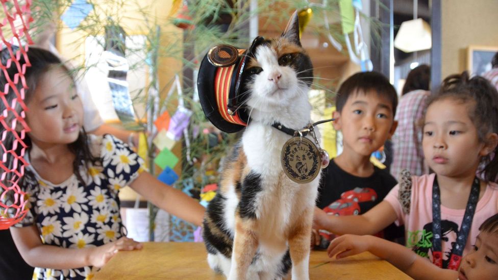 Children pet Tama, the original feline stationmaster of Japan's Kishi train station