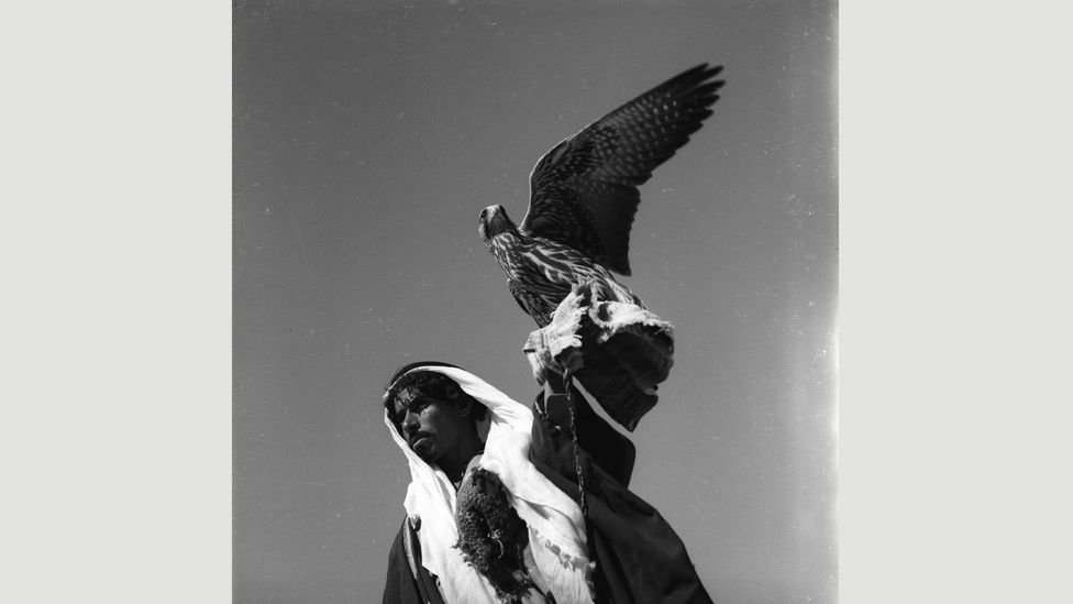 A bedouin carrying the falcon he uses to hunt, Syrian Desert, by Jibrail Jabbur (Credit: Norma Jabbur collection, courtesy of the Arab Image Foundation) A bedouin carrying the falcon he uses to hunt, Syrian Desert, by Jibrail Jabbur (Credit: Norma Jabbur collection, courtesy of the Arab Image Foundation)