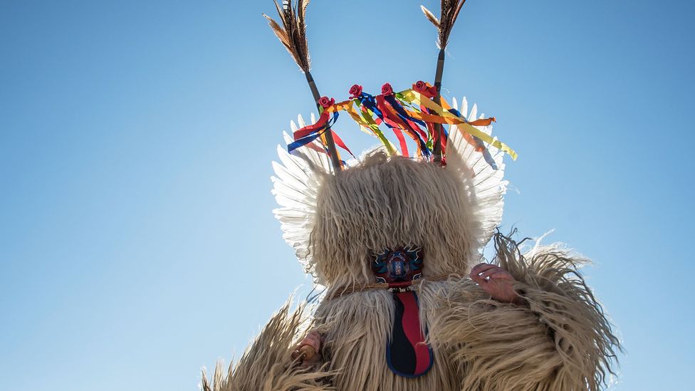 (Credit: Martina Žoldoš)