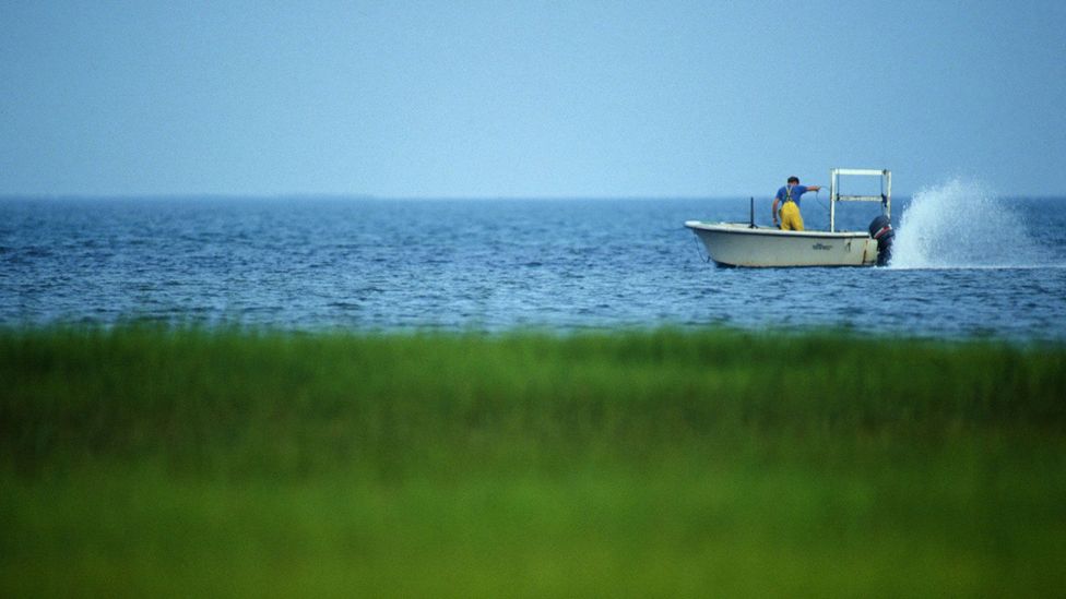 As Ocracoke has more interaction with the mainland, experts foresee the Hoi Toider dialect disappearing within the next few generations (Credit: William Graham/Alamy)