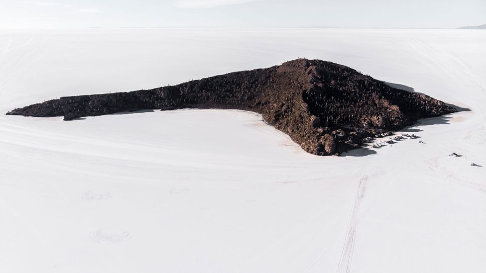 Incahuasi island and the Salar de Uyuni salt flat in Bolivia