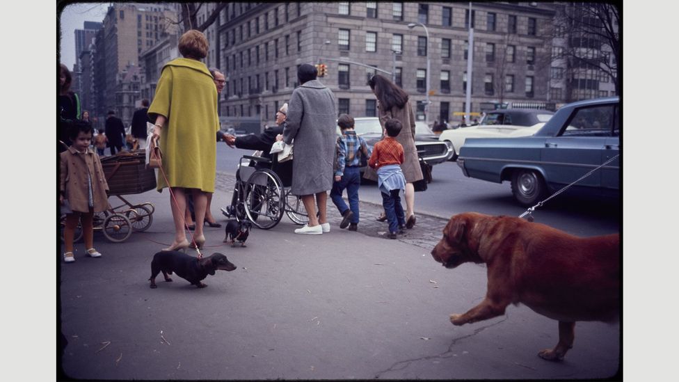 Untitled (New York), 1967 (Credit: The Estate of Garry Winogrand, courtesy Fraenkel Gallery)