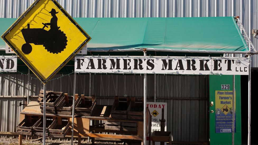 New York’s beloved ‘black dirt’ onions BBC Travel