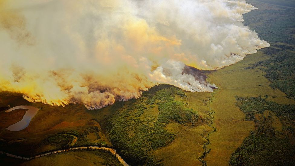 Huge amounts of carbon locked away in the trees, leaf litter and soil of Arctic forests are released into the atmosphere by fires (Credit: Alamy) Huge amounts of carbon locked away in the trees, leaf litter and soil of Arctic forests are released into the atmosphere by fires (Credit: Alamy)