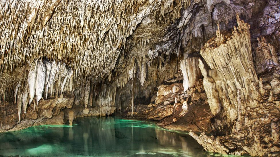 Cenotes were more than just water sources for the Maya; they were believed to be sacred portals through which they could communicate with gods (Credit: Wonderland Project)