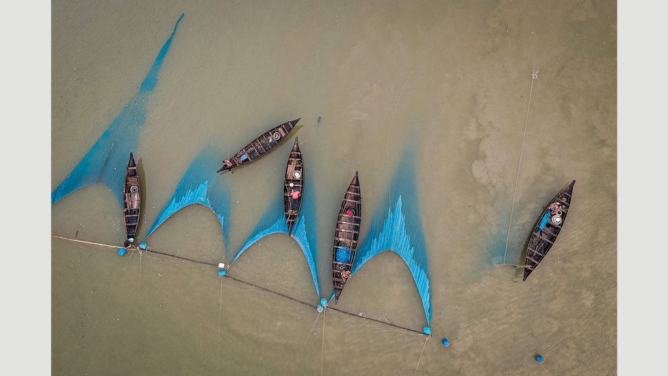 Fishing nets have replaced rice pickers in much of rural Bangladesh (Credit: Ignacio Marin/ Institute) Fishing nets have replaced rice pickers in much of rural Bangladesh (Credit: Ignacio Marin/ Institute)