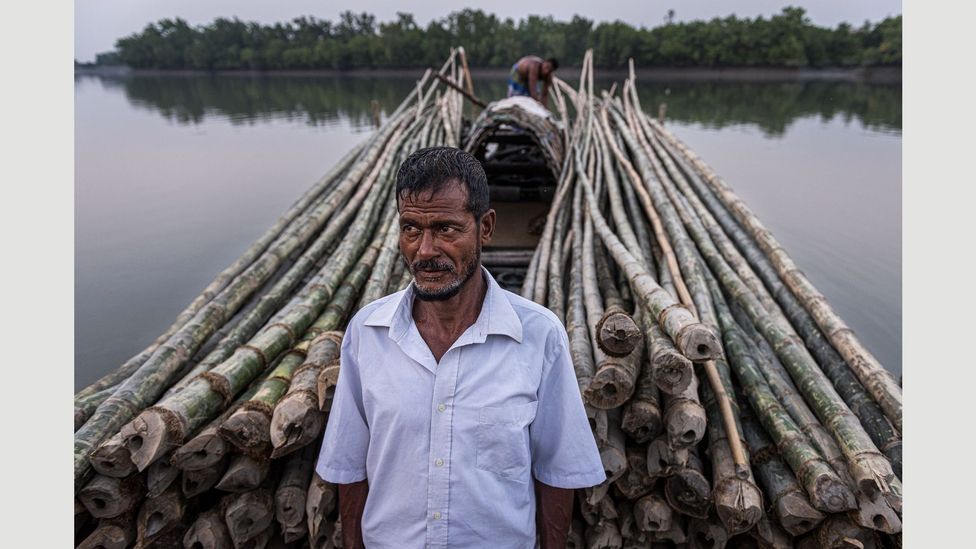 A villager stands in front of bamboo canes which will be used in construction (Credit: Ignacio Marin/ Institute) A villager stands in front of bamboo canes which will be used in construction (Credit: Ignacio Marin/ Institute)