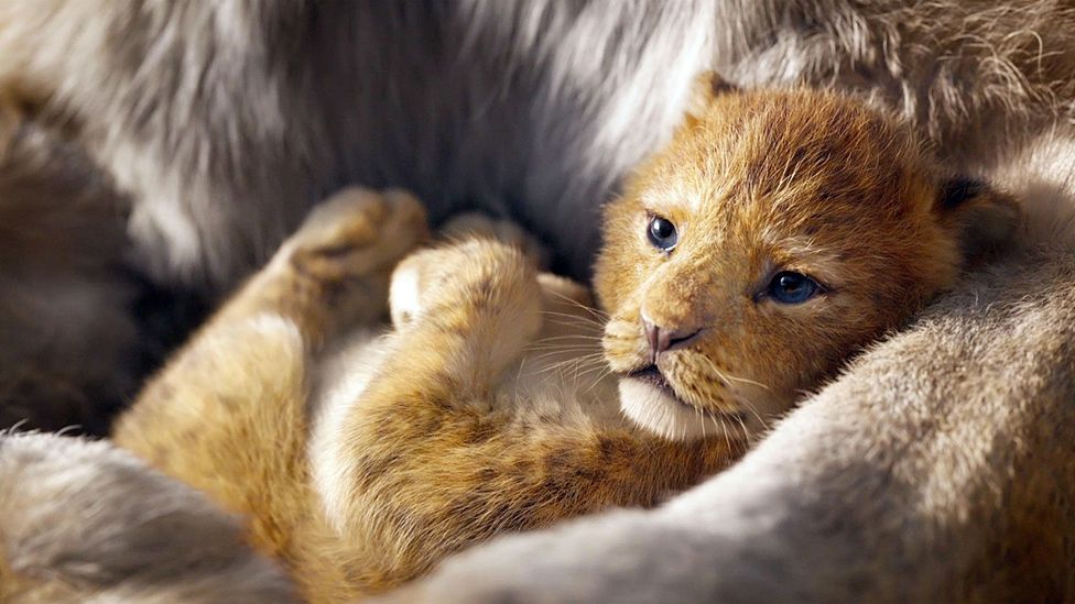 (Credit: Alamy) (Credit: Alamy)