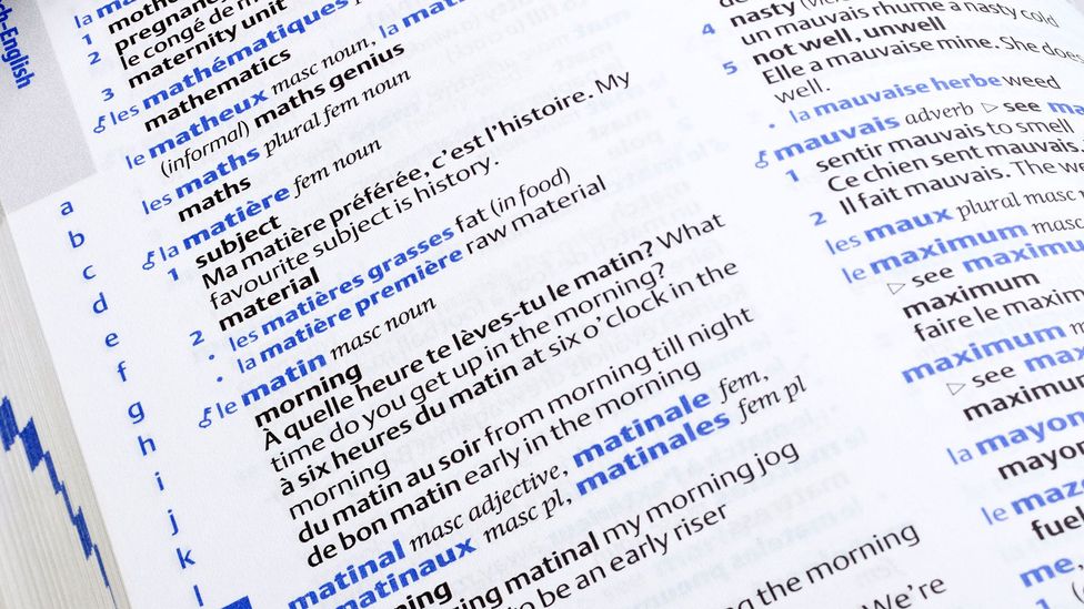 What vocabulary size tells us about pronunciation skills: Issues in  assessing L2 learners, Journal of French Language Studies