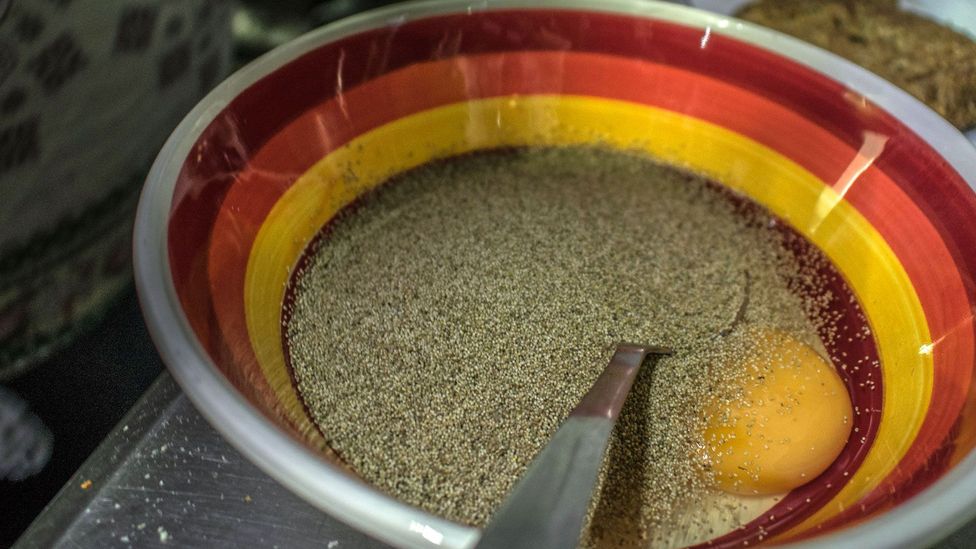 A small jar of ahuautle costs 400 Mexican pesos, earning it the nickname “the caviar of Mexico” (Credit: Jessica Vincent) A small jar of ahuautle costs 400 Mexican pesos, earning it the nickname “the caviar of Mexico” (Credit: Jessica Vincent)