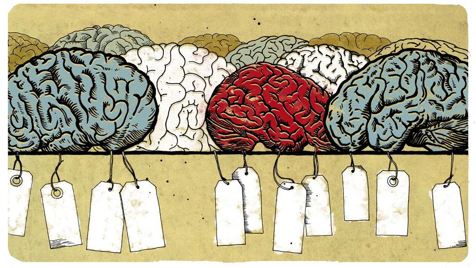 An illustration of brains with labels attached (Credit: Emmanuel Lafont)