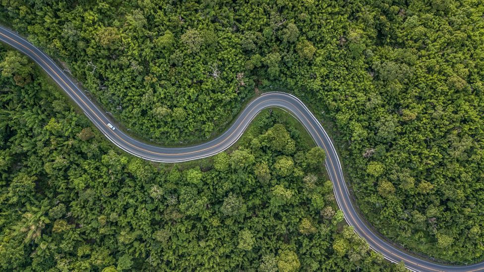 Deforestation is a significant contributor to global carbon emissions, according to the IPCC (Credit: Getty Images)