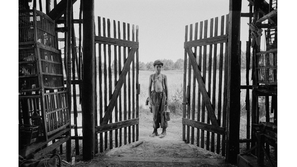 The Painted Bird, about a young Jewish boy journeying through Nazi-occupied Europe, has shocked critics and festival audiences (Credit: Courtesy of VFF)