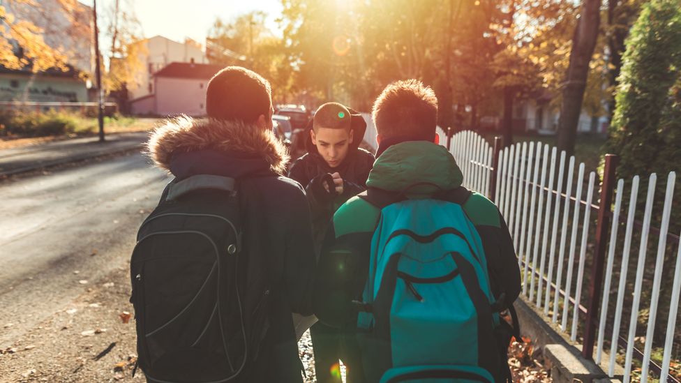 There are several factors that make a child more likely to become a bully (Credit: Getty Images)