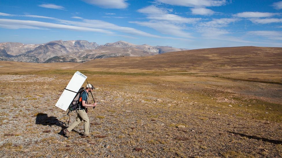 Once on location, they haul freezers to preserve any frozen artefacts they recover (Credit: Matt Stirn) Once on location, they haul freezers to preserve any frozen artefacts they recover (Credit: Matt Stirn)
