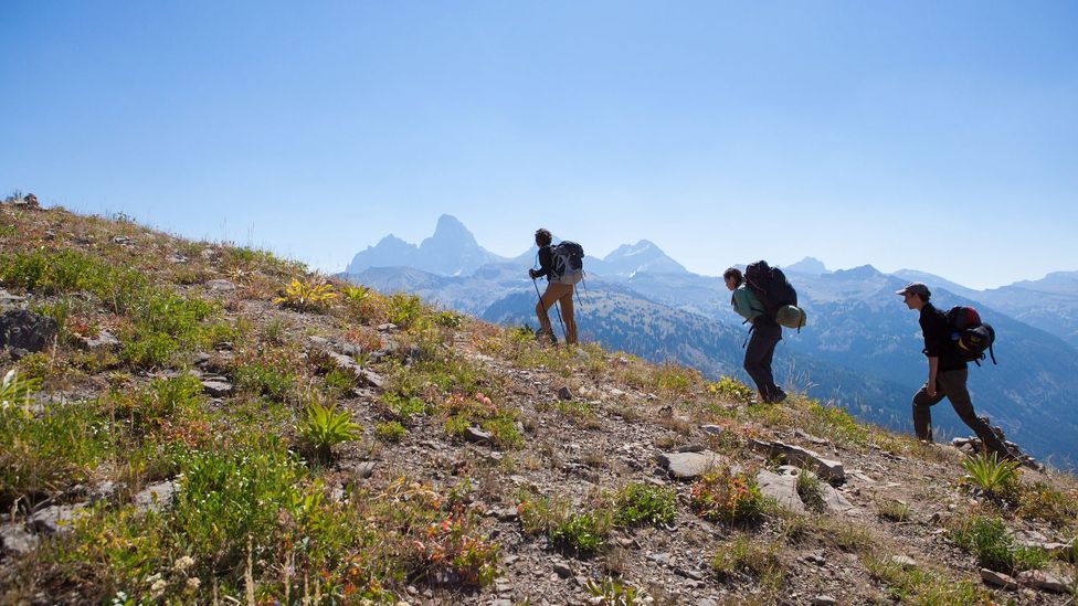 A team of alpine archaeologists hikes towards base camp in the Teton Range, Wyoming (Credit: Matt Stirn) A team of alpine archaeologists hikes towards base camp in the Teton Range, Wyoming (Credit: Matt Stirn)