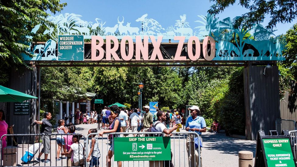 The place Castro deemed "the best thing in New York" still serves hot dogs (Credit: Education & Exploration 4/Alamy) The place Castro deemed "the best thing in New York" still serves hot dogs (Credit: Education & Exploration 4/Alamy)