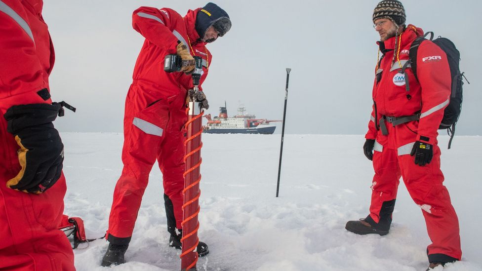 Surveys of the sea ice by the scientists on the expedition have revealed it is thinner than satellite images had led them to expect (Credit: Esther Horvath/AWI) Surveys of the sea ice by the scientists on the expedition have revealed it is thinner than satellite images had led them to expect (Credit: Esther Horvath/AWI)