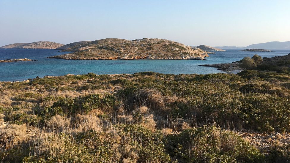 The island of Arkoi is a tranquil and bucolic Dodecanese gem (Credit: Cathryn Drake)