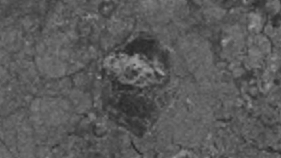 The first grainy view of the hexagonal-shaped floe from space, with a central bright patch showing where the ice is thick (Credit: TerraSAR-X/DLR 2019) The first grainy view of the hexagonal-shaped floe from space, with a central bright patch showing where the ice is thick (Credit: TerraSAR-X/DLR 2019)