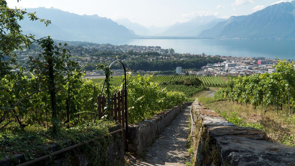 The small Swiss town of Vevey is surrounded by terraced vineyards and turquoise water on Lake Geneva (Credit: Anna Muckerman)