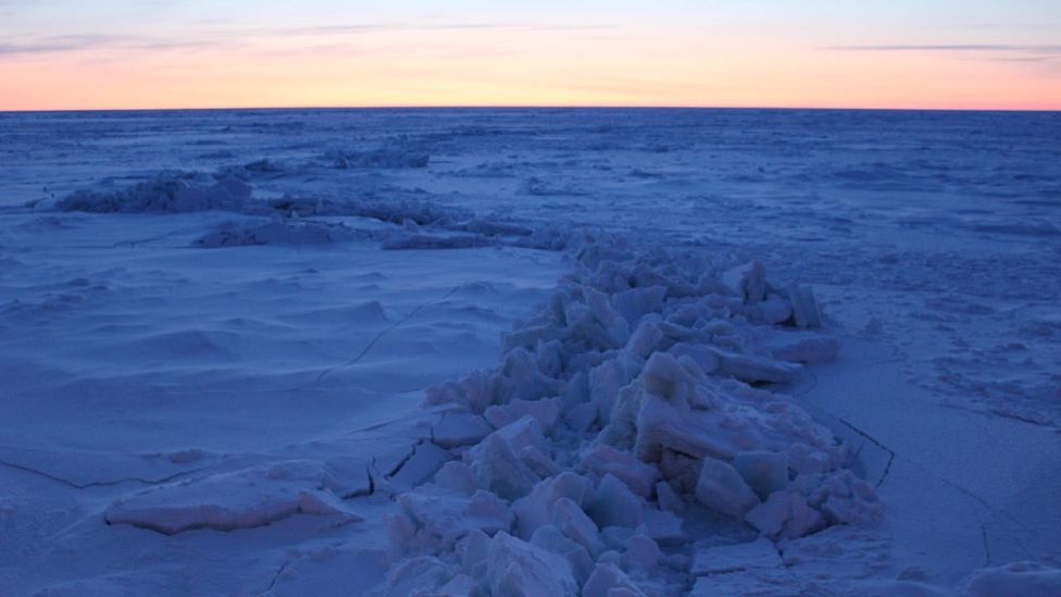 The wake of the Akademik Fedorov, a Russian supply vessel, transformed from a 25m-wide trail of slush and ice, to a thin seam (Credit: Martha Henriques) The wake of the Akademik Fedorov, a Russian supply vessel, transformed from a 25m-wide trail of slush and ice, to a thin seam (Credit: Martha Henriques)