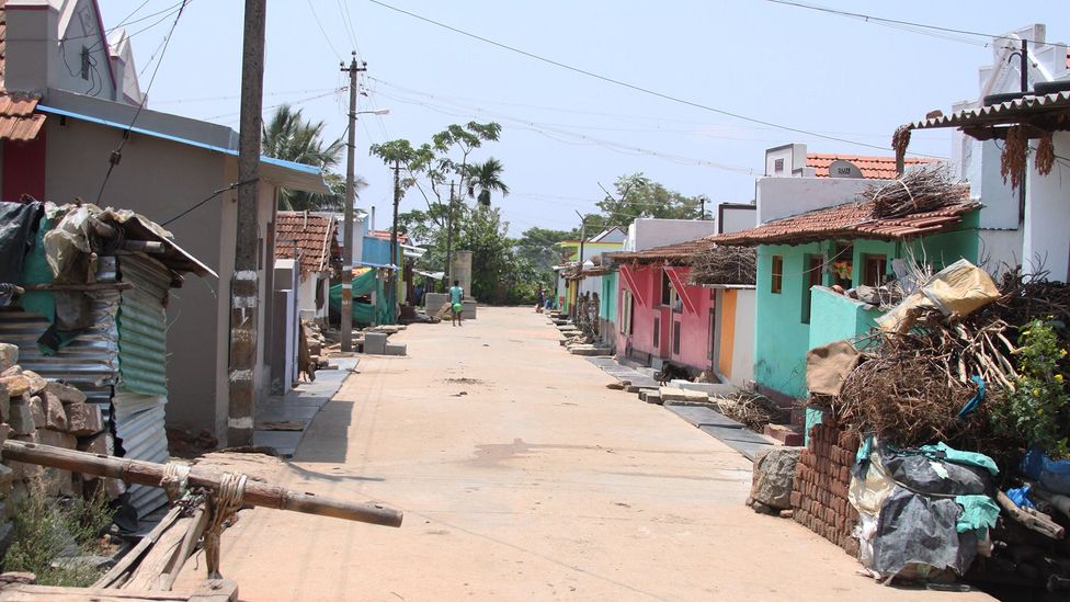 Gopamma Nayaka's village Berambadi is located on the edge of Bandipur National Park and Tiger Reserve (Credit: Rachel Nuwer)