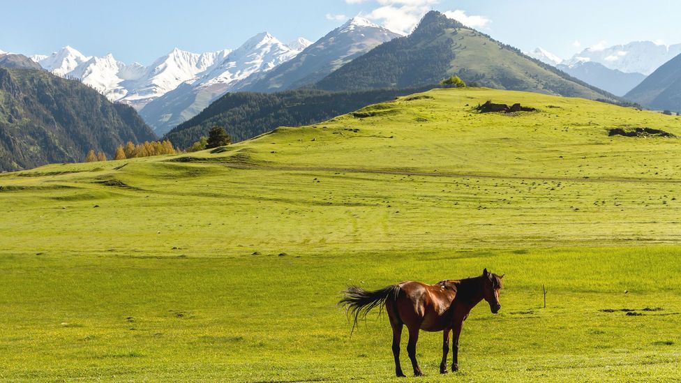 Some say khinkali originated in the rugged mountains to the north of Tbilisi (Credit: Vittoria/Alamy)