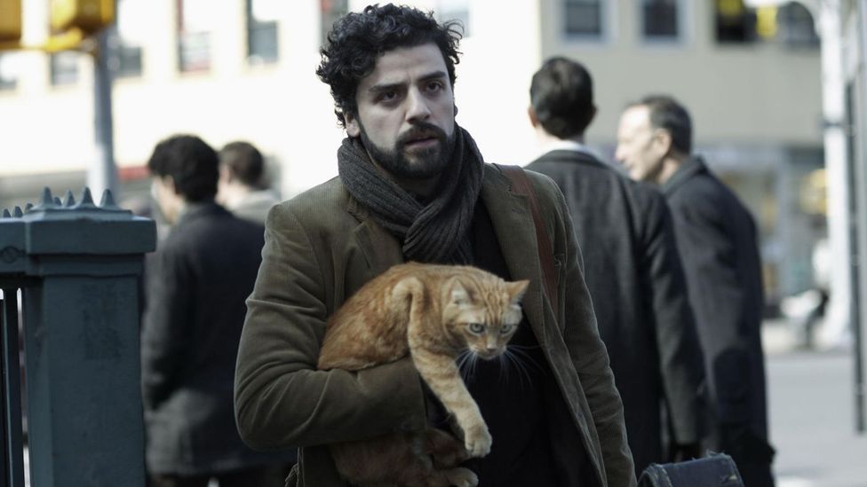 Why cats are really man's best friend – in film, at least - BBC Culture