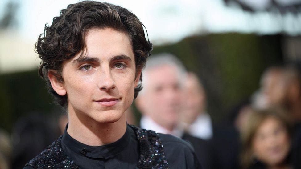 Straight stars like Timothée Chalamet might be happy to play queer roles – but that shows up how their LGBTQ+ peers are denied similar opportunities (Credit: Alamy)