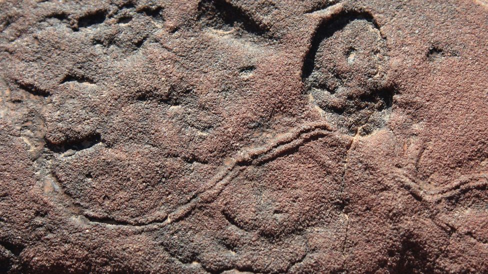 What the earliest life on Earth looked like