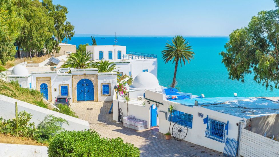 The seaside neighbourhood of Sidi Bou Said has a distinctive blue-and-white colour scheme (Credit: efesenko/Getty Images)